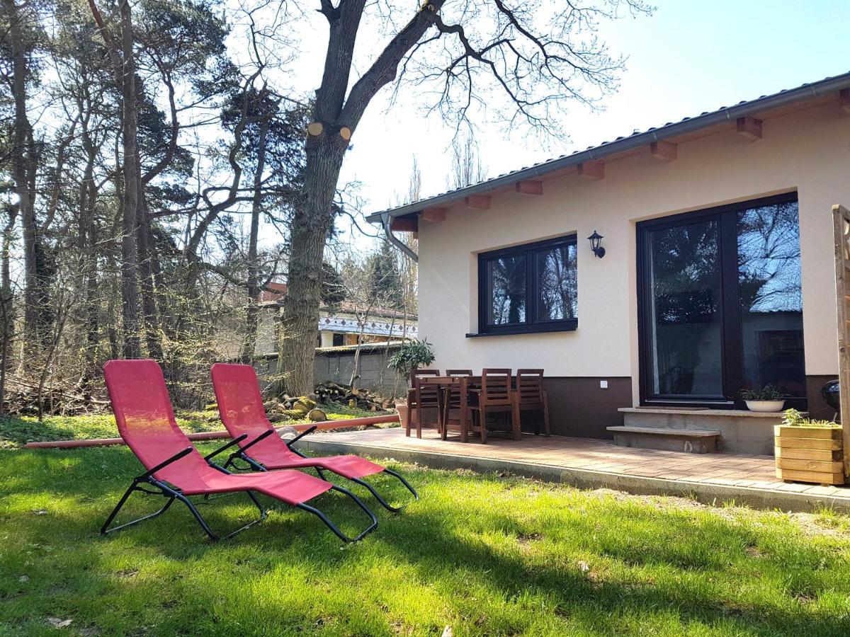 Apartment Waldblick vom Naturhof Usedom Bannemin Exterior foto